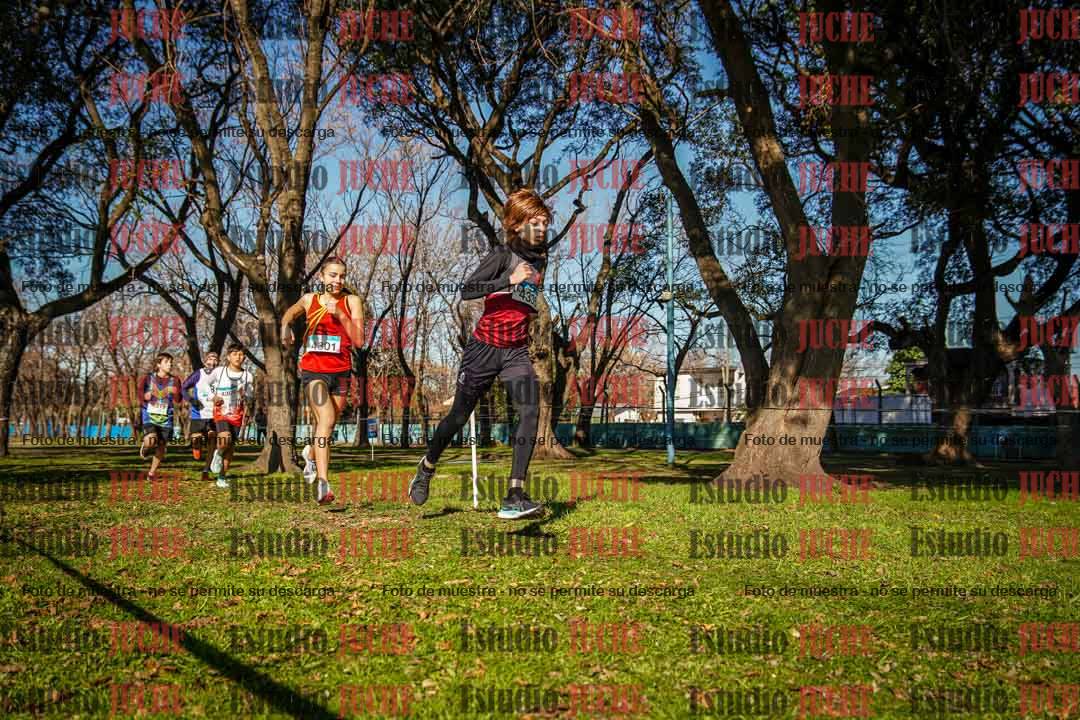 Fotos en el circuito