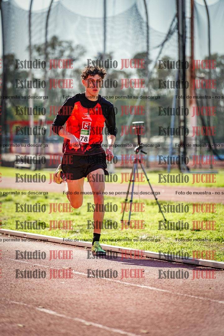 Fotos de los 800 m llanos de varones