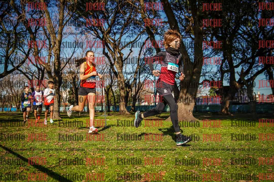 Fotos en el circuito