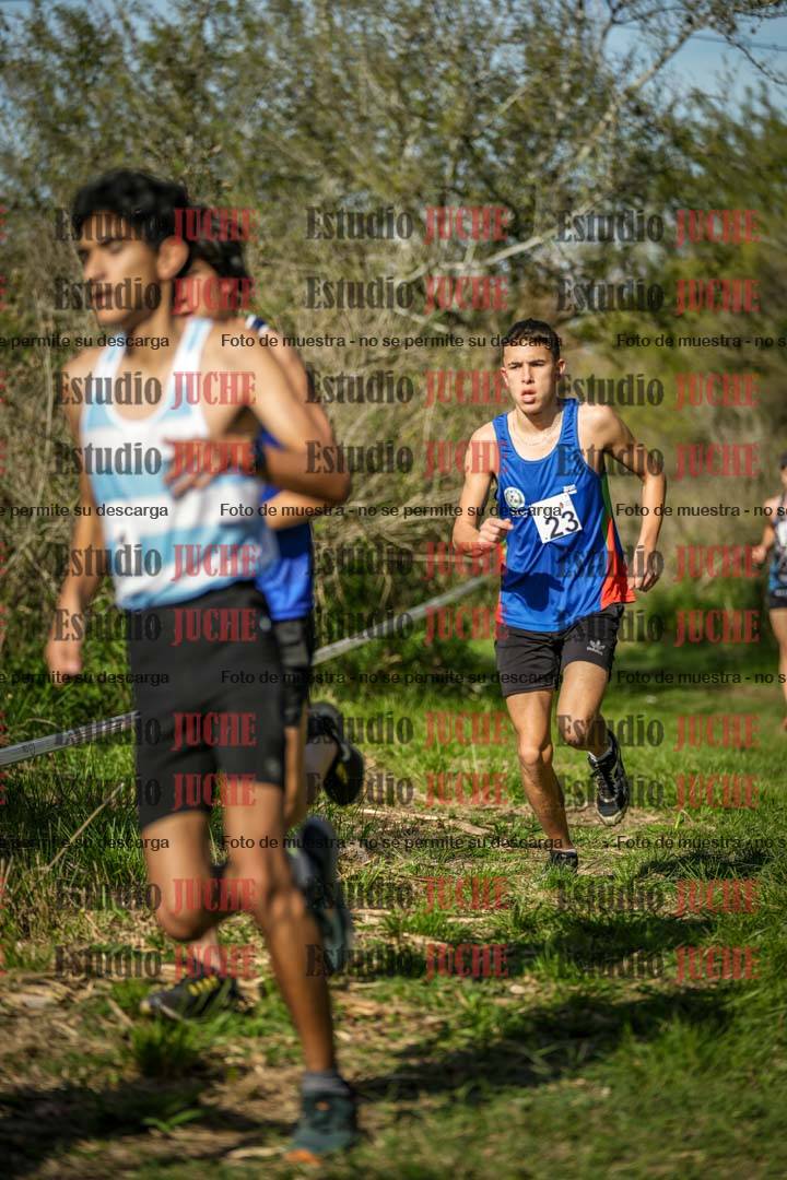 Fotos en el circuito