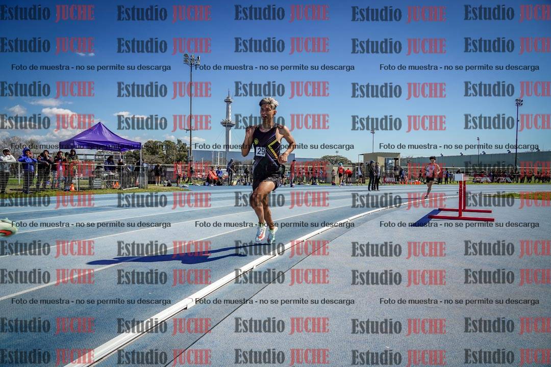 Fotos de los 800 m llanos de varones