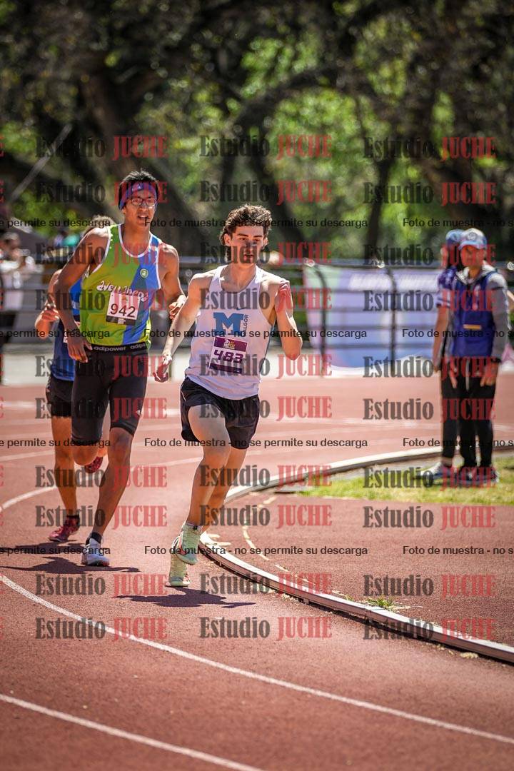 Fotos de los 800 m llanos de varones