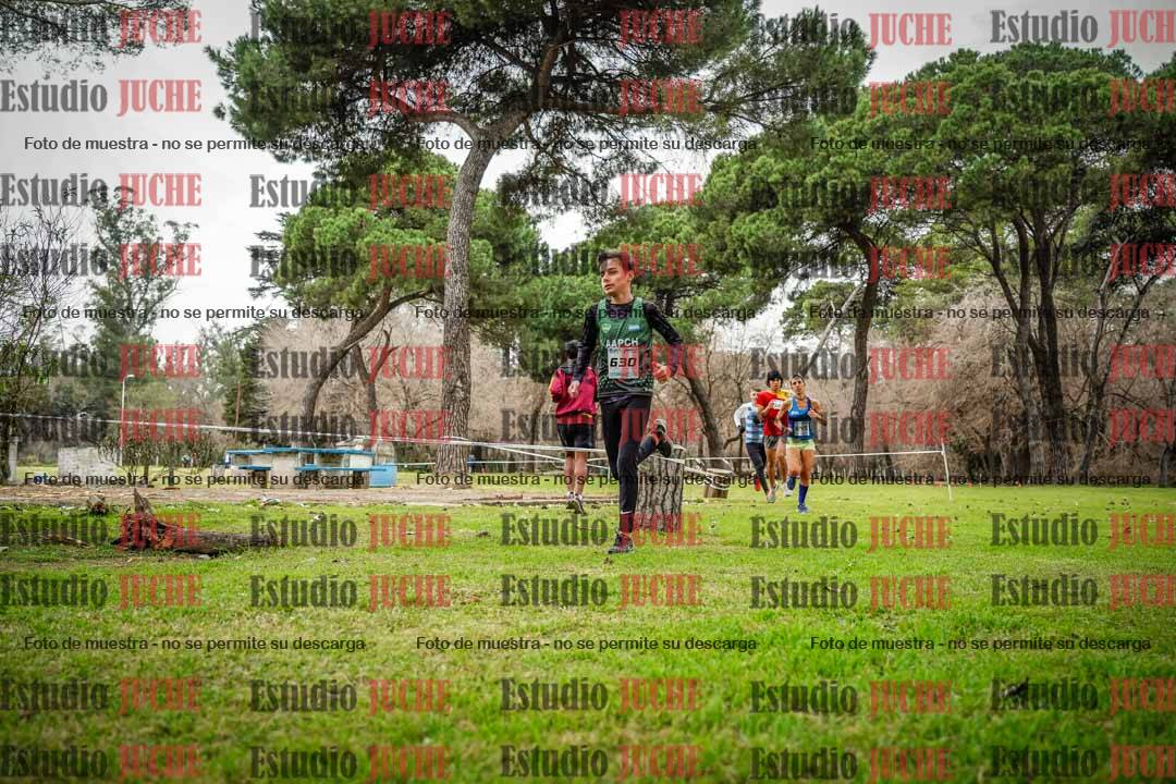 Fotos en el circuito