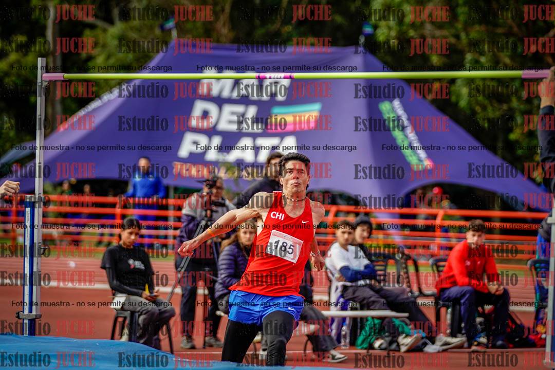 Fotos del salto en alto de varones - FINAL