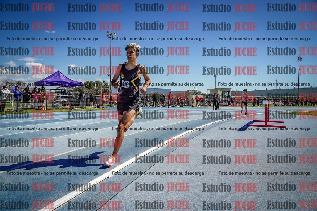 Fotos de los 800 m llanos de varones