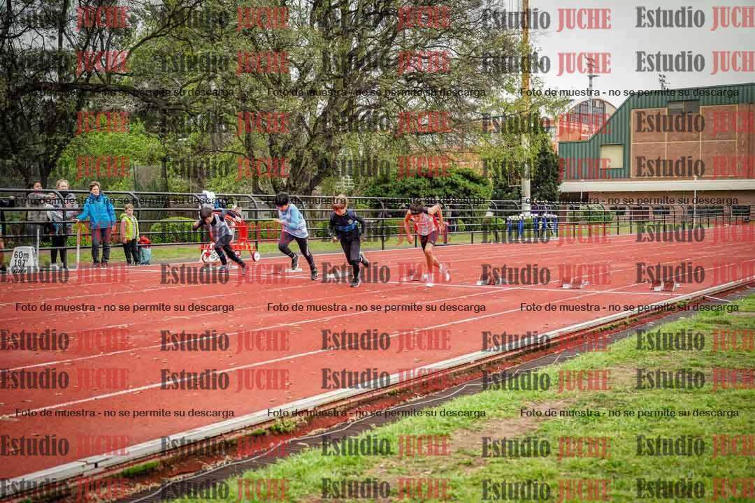 Fotos de los 50 m llanos de varones