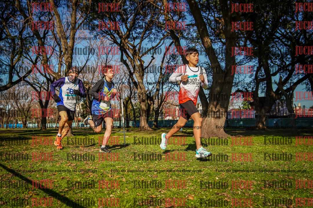 Fotos en el circuito