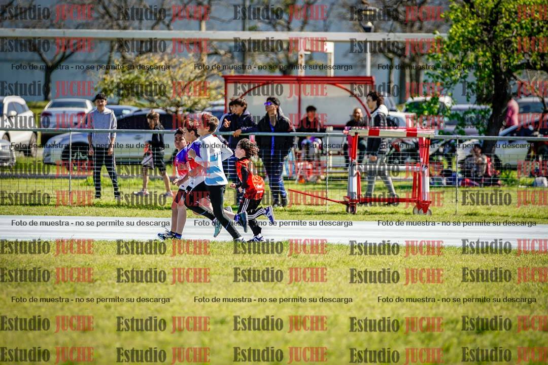 Fotos de los 1000 m llanos de varones