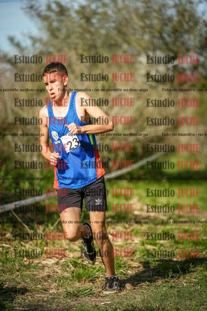 Fotos en el circuito