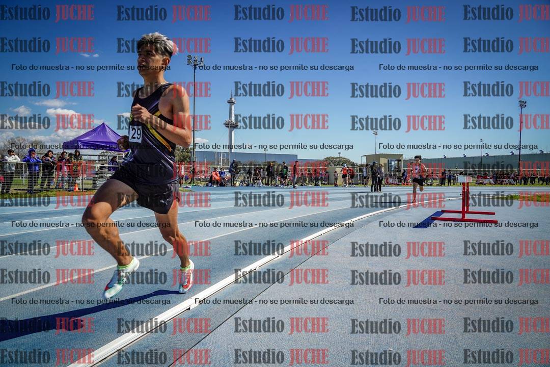 Fotos de los 800 m llanos de varones
