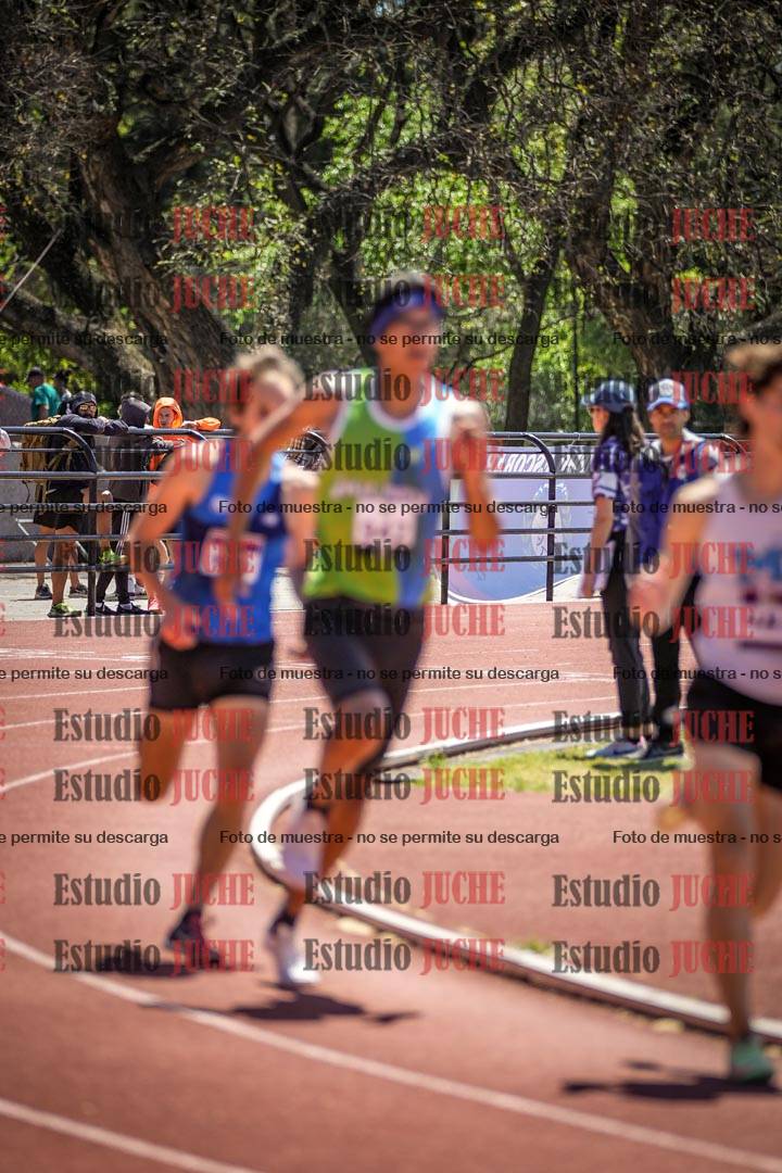 Fotos de los 800 m llanos de varones