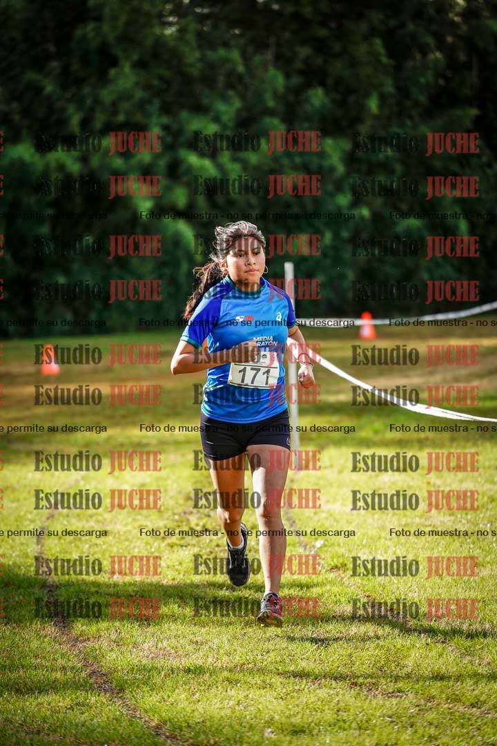 Fotos en el circuito