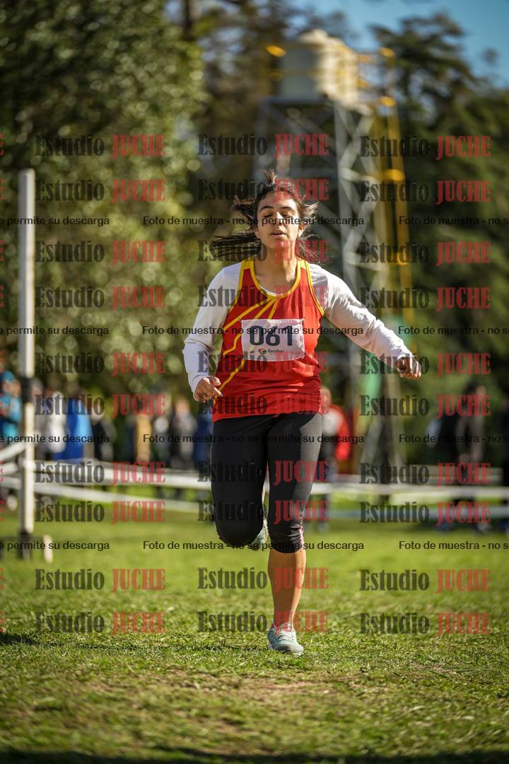 Fotos de la llegada del cross de 3000 m