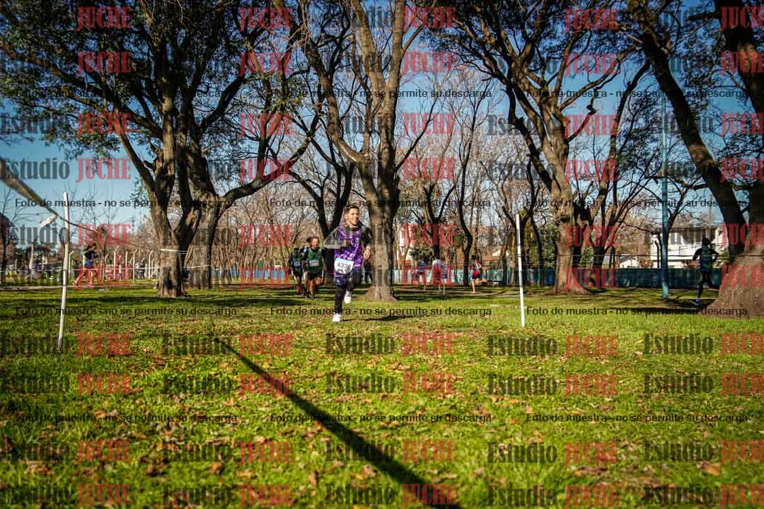 Fotos en el circuito
