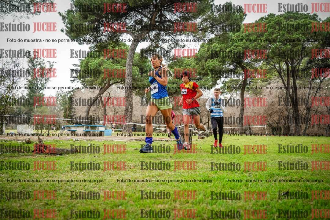Fotos en el circuito
