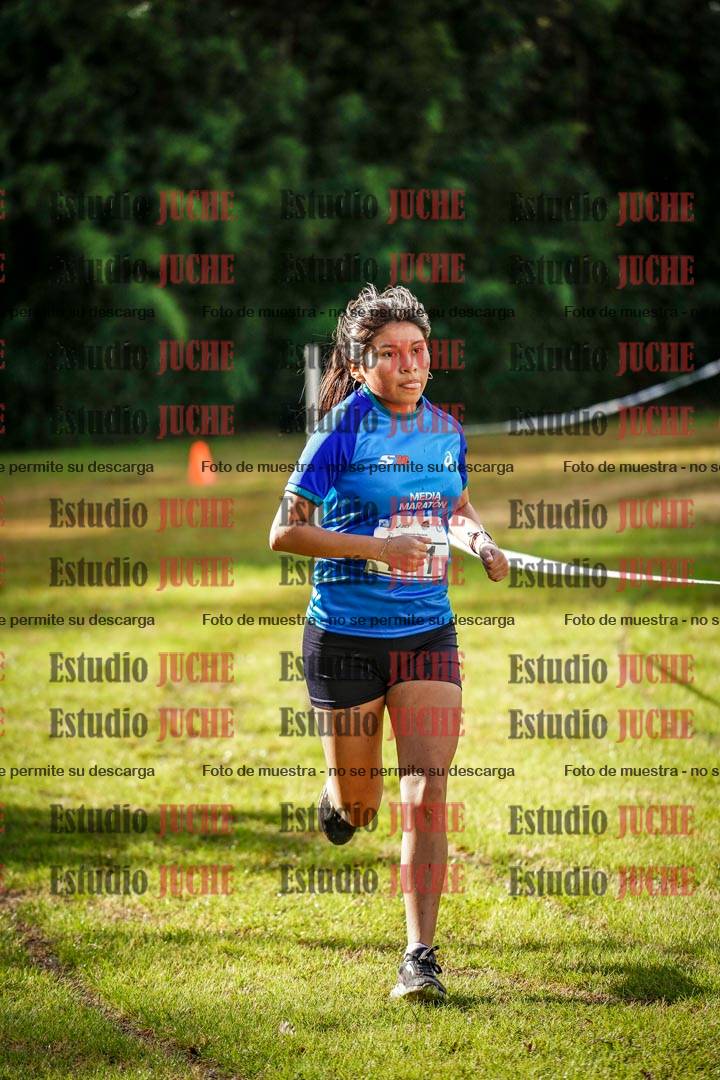Fotos en el circuito