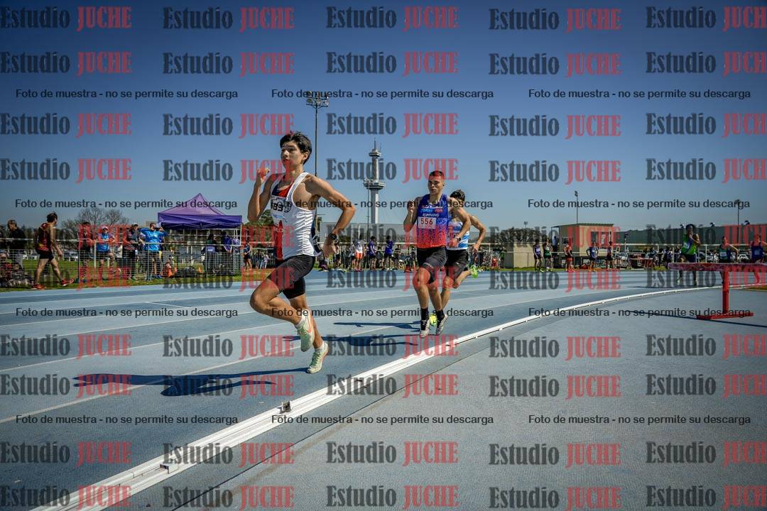 Fotos de los 800 m llanos de varones