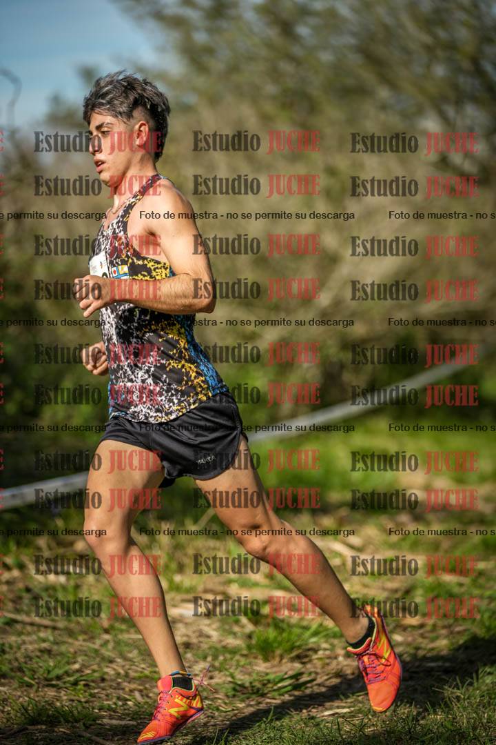 Fotos en el circuito