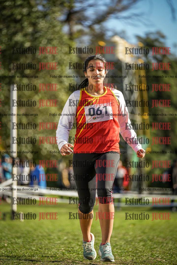 Fotos de la llegada del cross de 3000 m