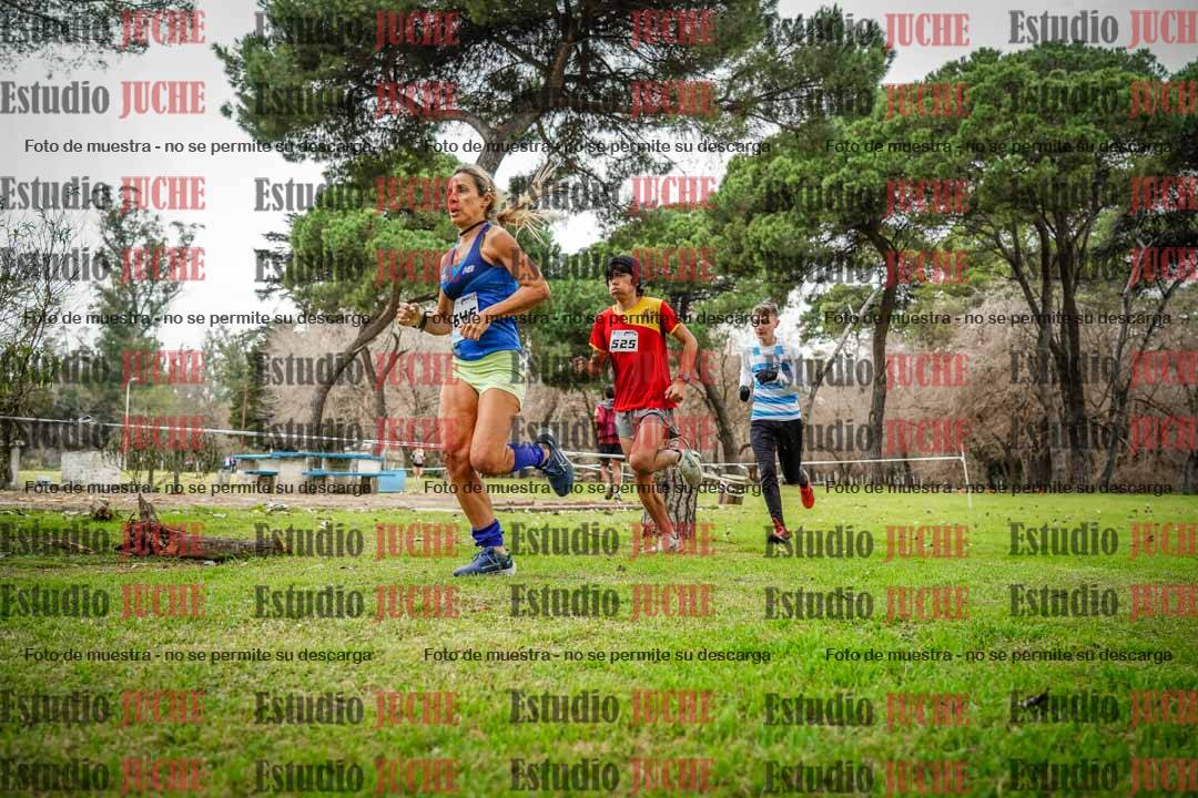 Fotos en el circuito