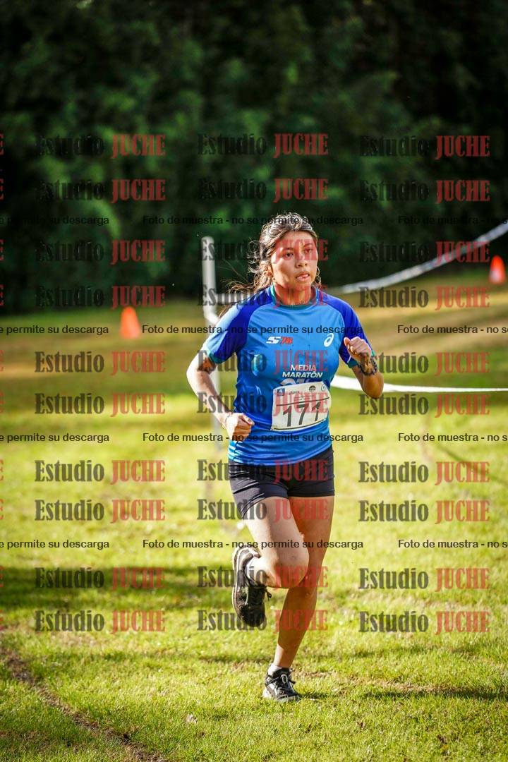 Fotos en el circuito