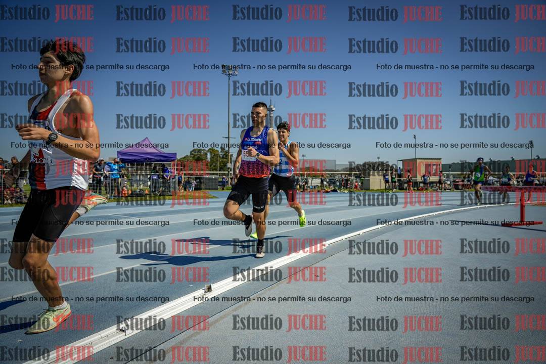 Fotos de los 800 m llanos de varones