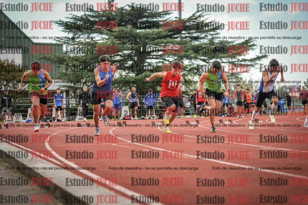 Fotos de los 100 m llanos de varones