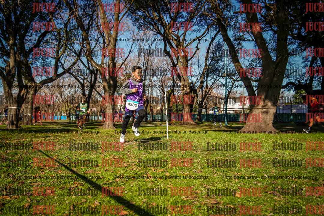 Fotos en el circuito