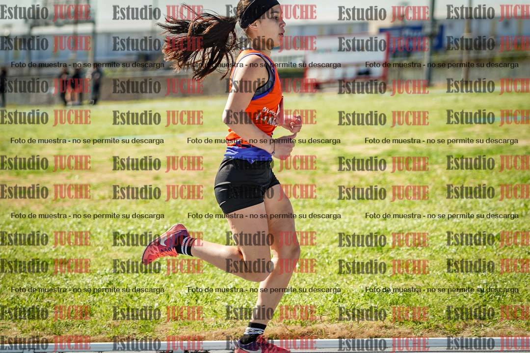 Fotos de los 800 m llanos de mujeres