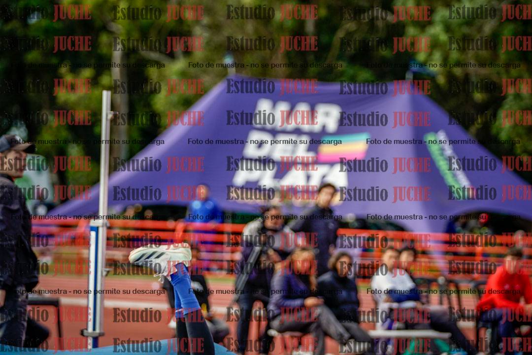 Fotos del salto en alto de varones - FINAL