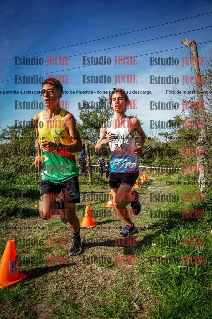 Fotos en el circuito