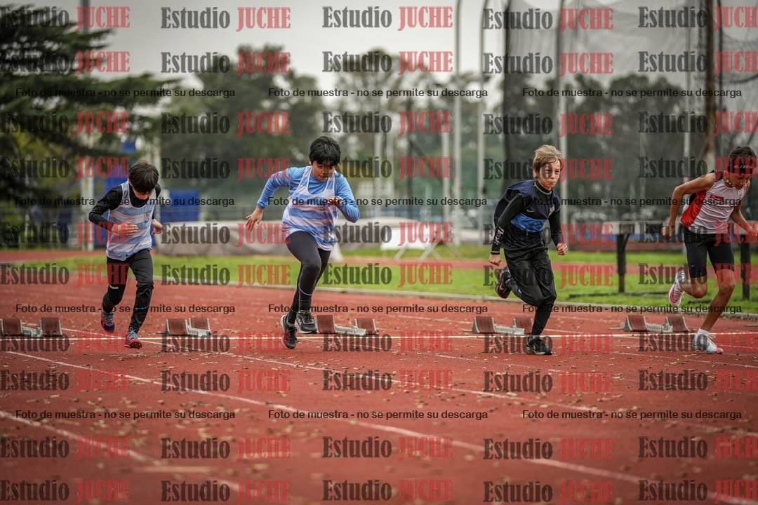 Fotos de los 50 m llanos de varones