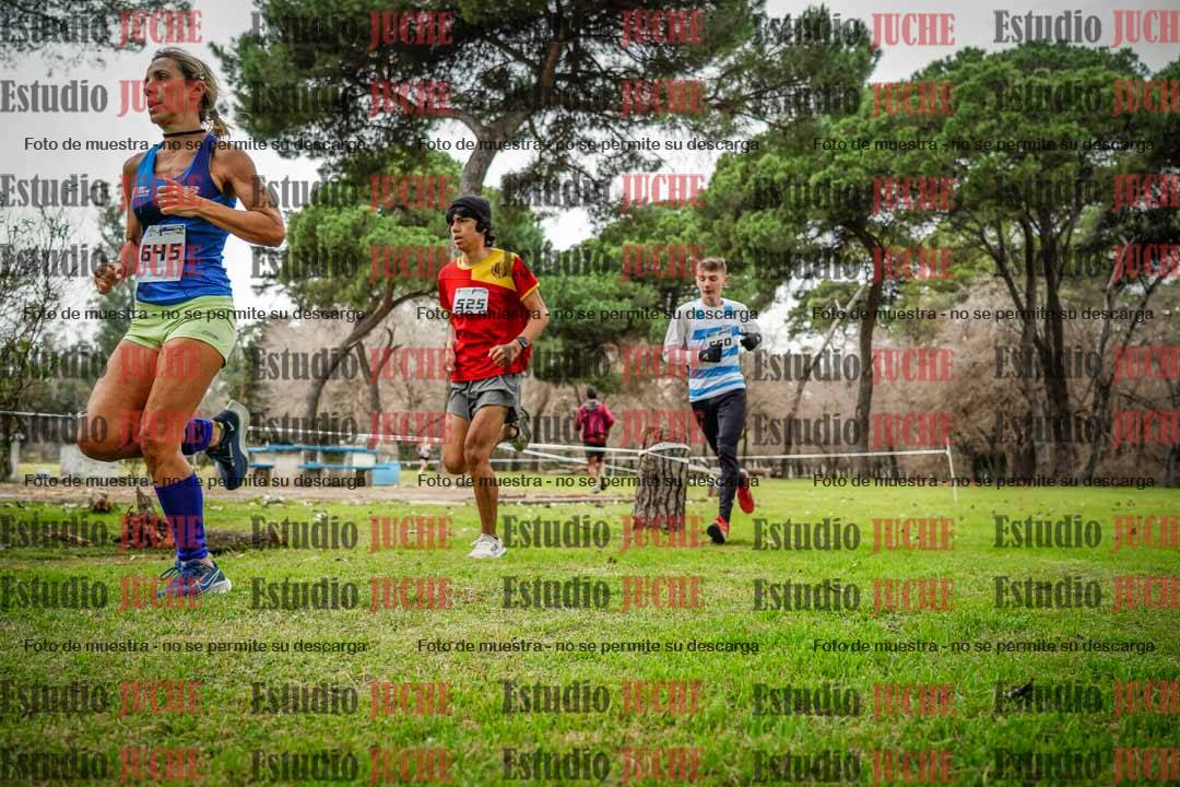 Fotos en el circuito