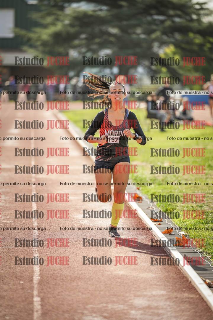 Fotos de los 800 m llanos de mujeres