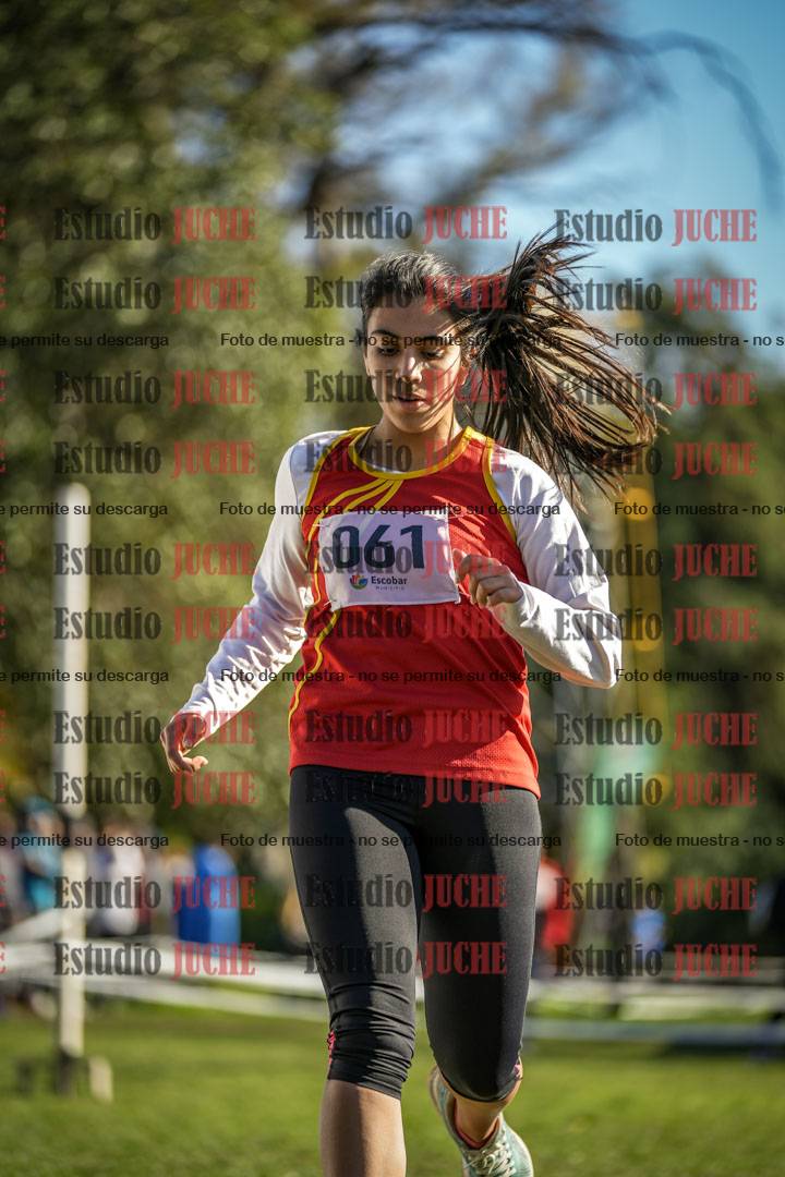 Fotos de la llegada del cross de 3000 m