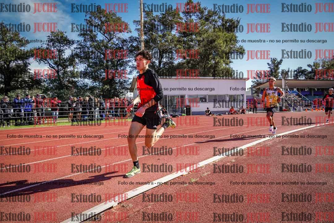 Fotos de los 800 m llanos de varones