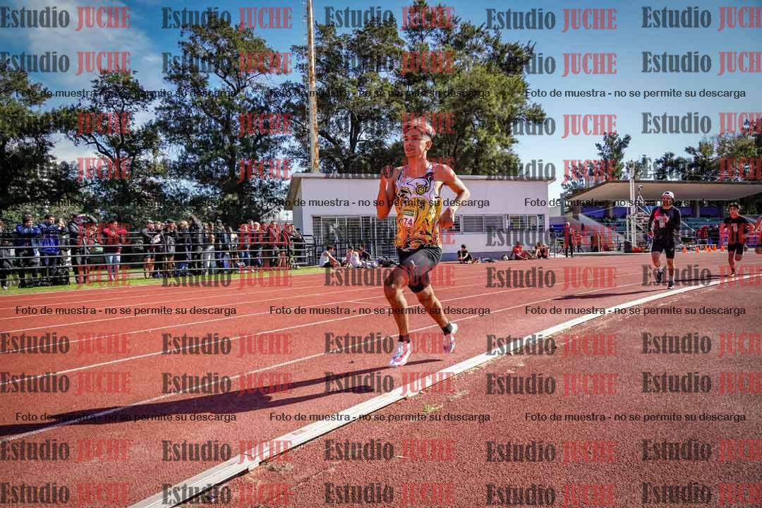 Fotos de los 800 m llanos de varones