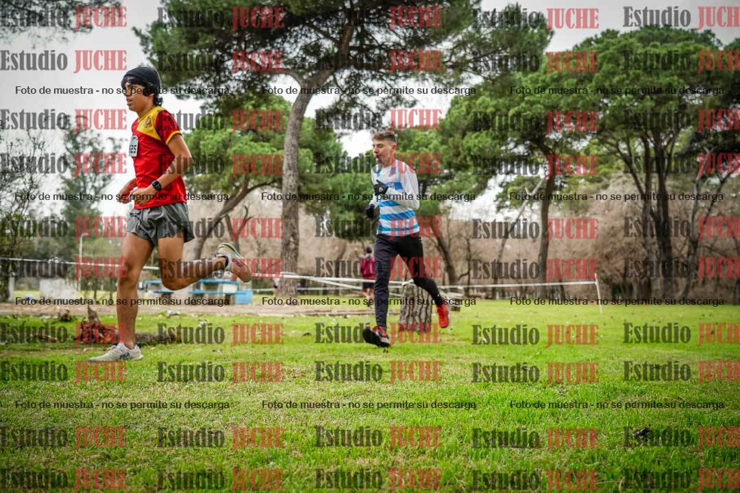 Fotos en el circuito