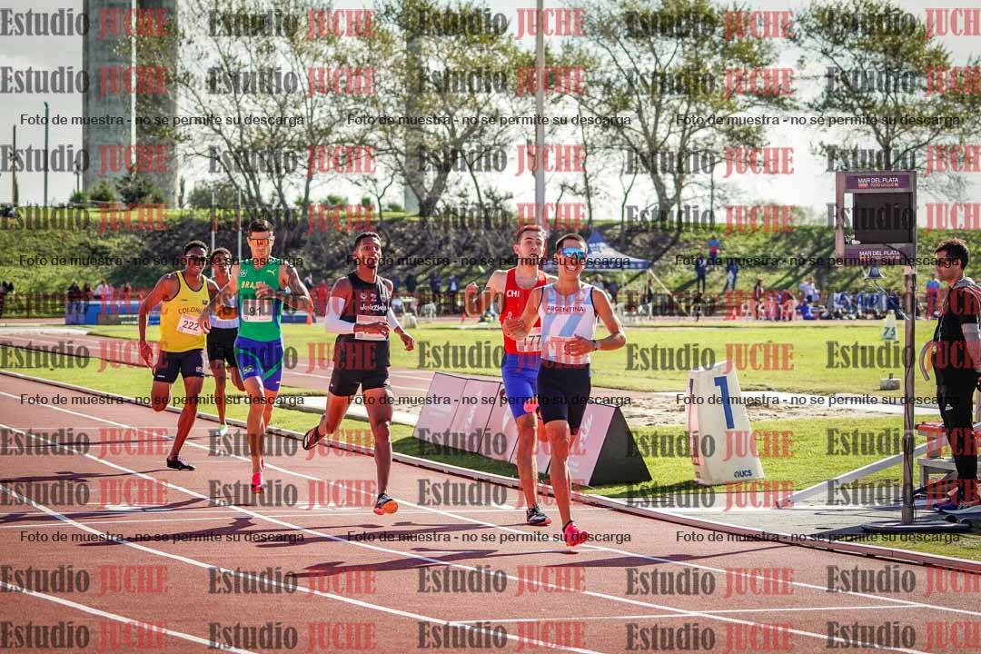 Fotos de los 800 m llanos de varones
