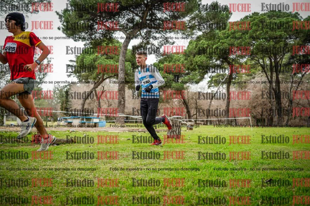 Fotos en el circuito