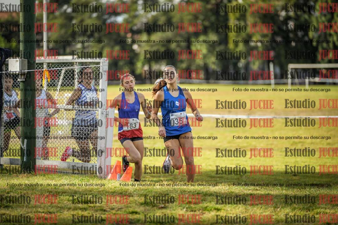 Fotos en el circuito