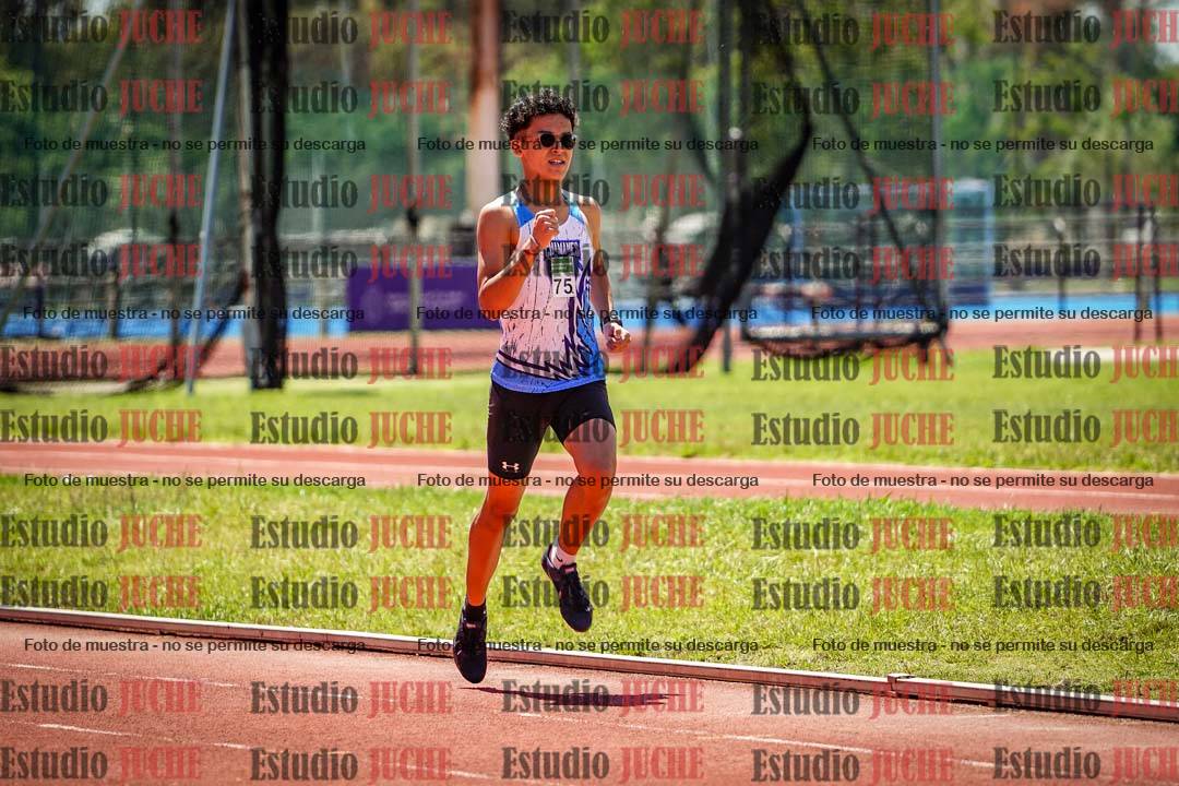 Fotos de los 800 m llanos de varones