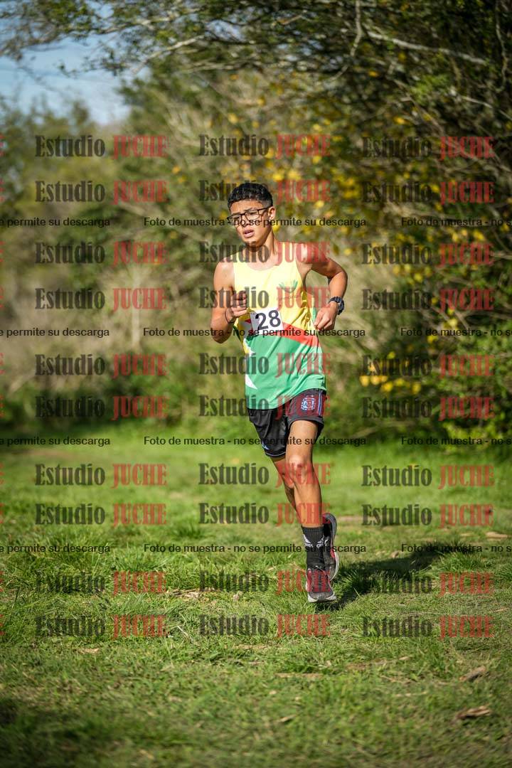 Fotos en el circuito