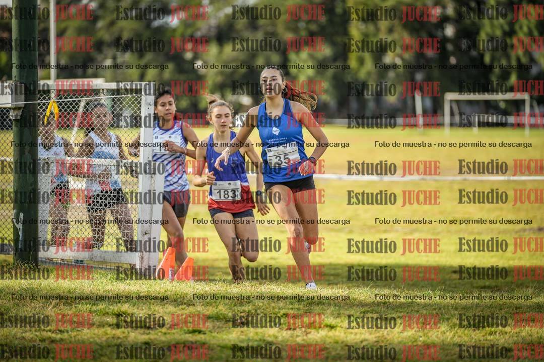 Fotos en el circuito