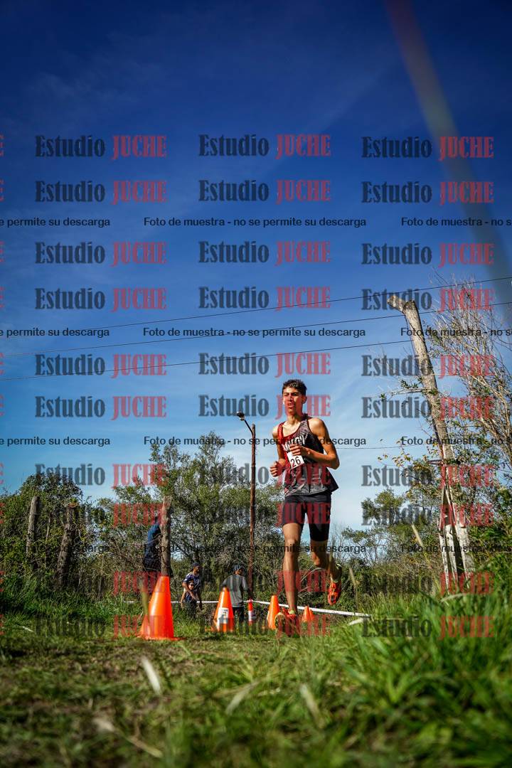 Fotos en el circuito
