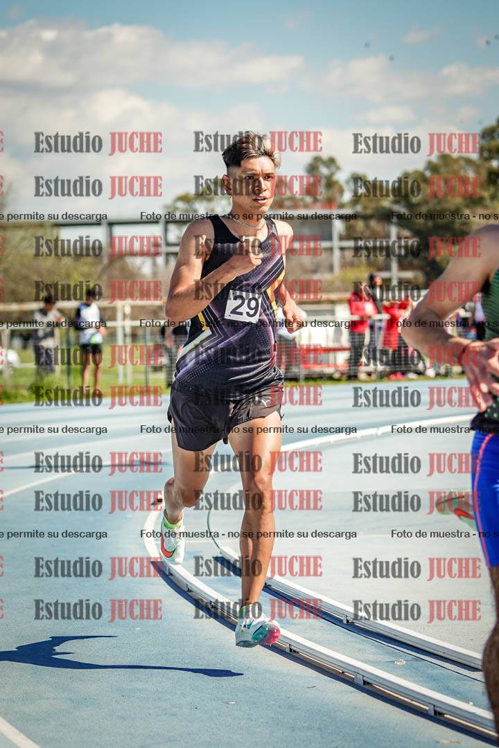 Fotos de los 800 m llanos de varones