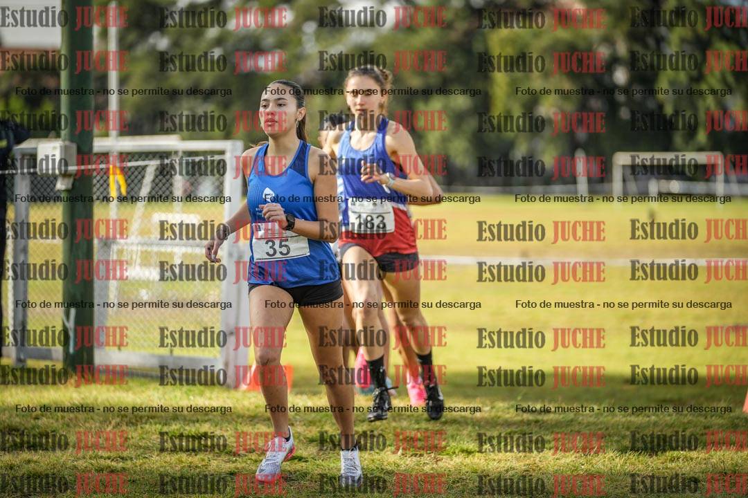 Fotos en el circuito
