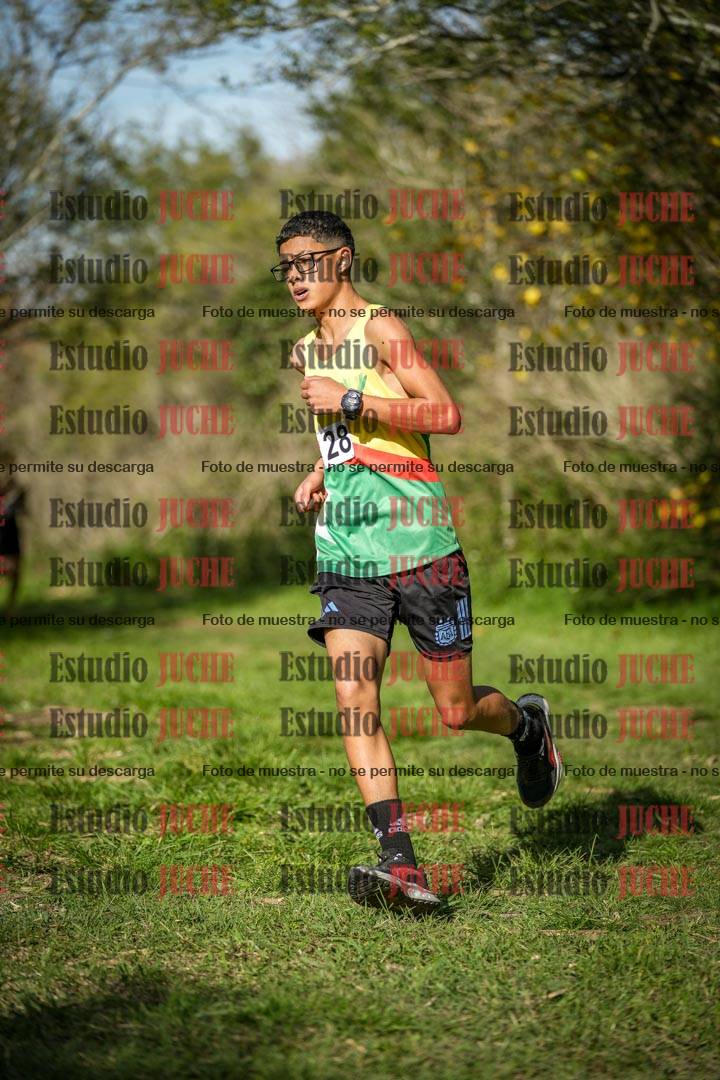 Fotos en el circuito