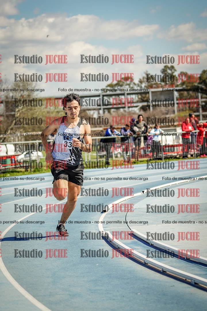 Fotos de los 800 m llanos de varones