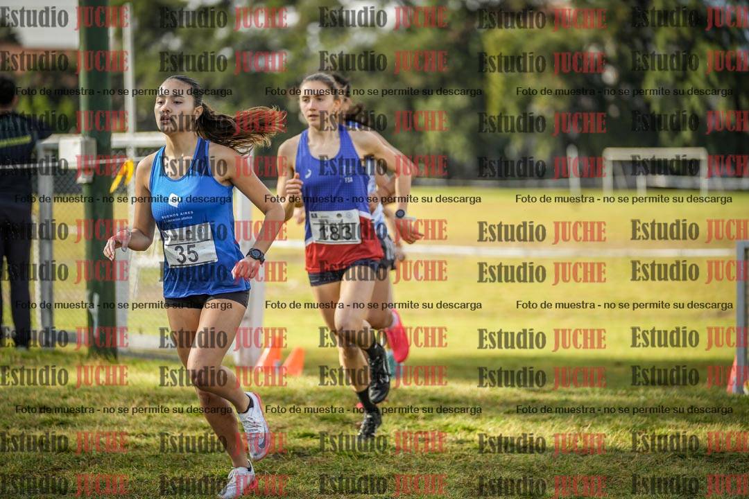 Fotos en el circuito